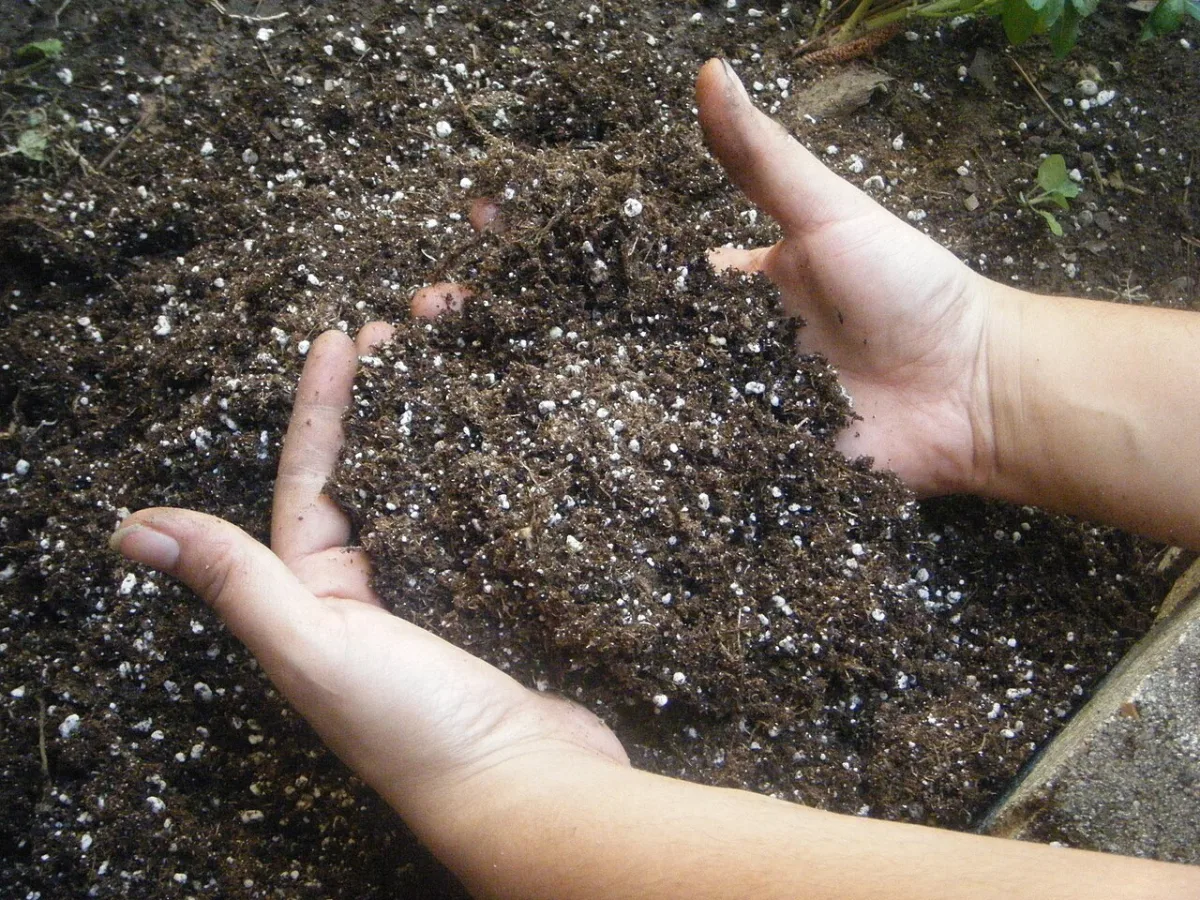 Zand, klei of veen: uw grond herkennen in vijf minuten
